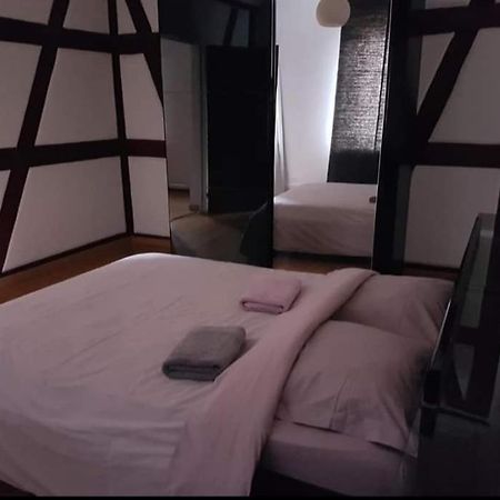 Spacious Appartement Colmar 2 Buitenkant foto