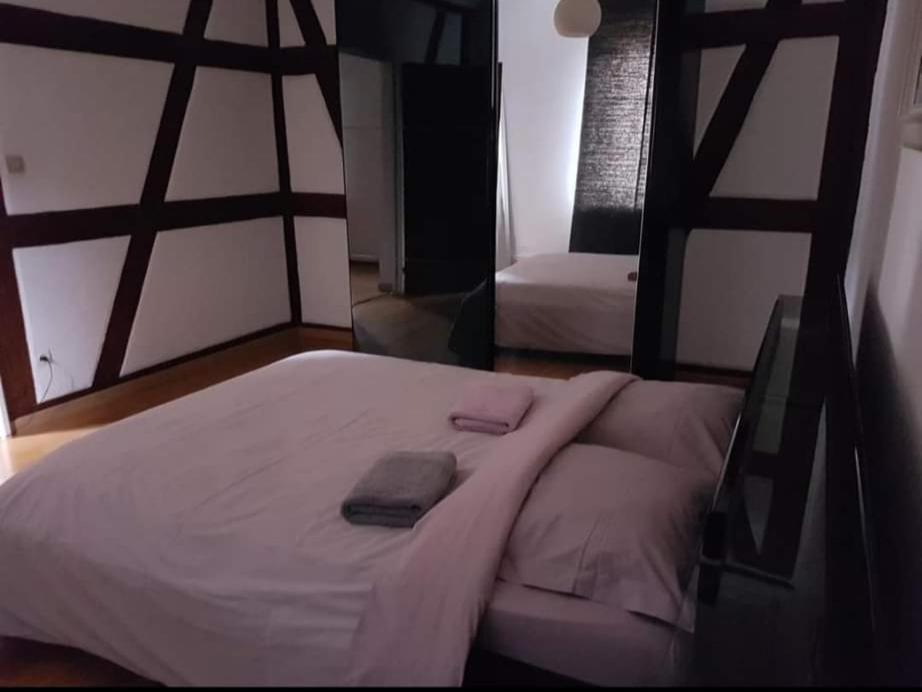 Spacious Appartement Colmar 2 Buitenkant foto